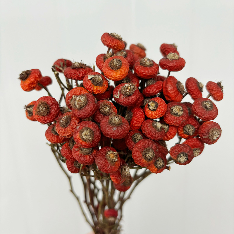 10pcs/Bundel Bunga Mawar Kerin - Dried Flower Bulk ulasan dan harga