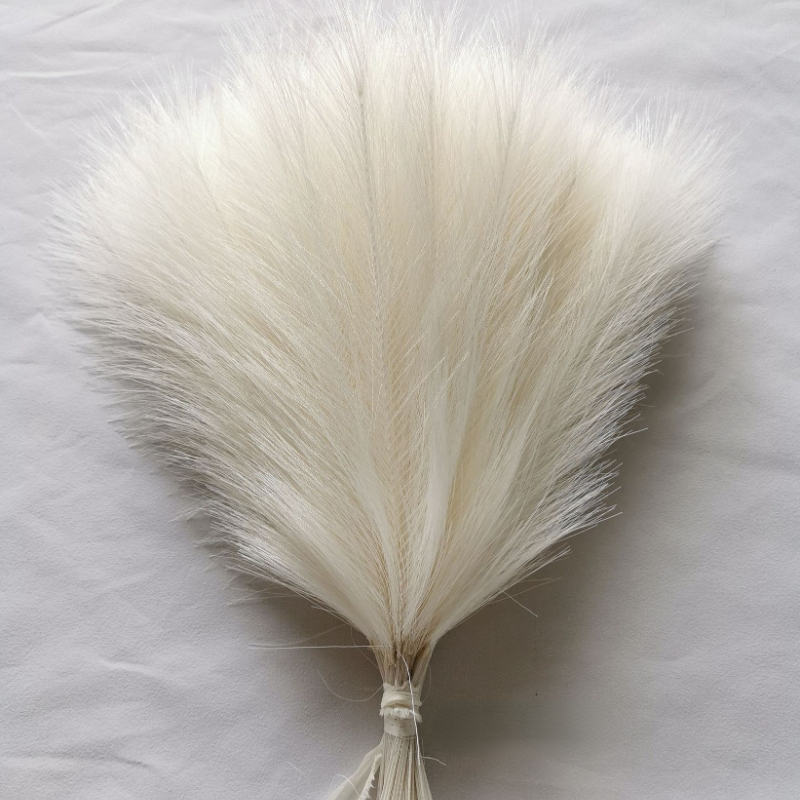 10 Buah Buket Rumput Pampas Bu - Dried Flower Bulk ulasan dan harga